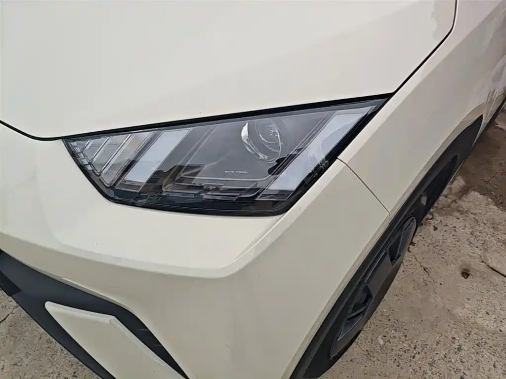 BYD Seagull 2024 Glory Edition 305km Vitality Edition фото 24