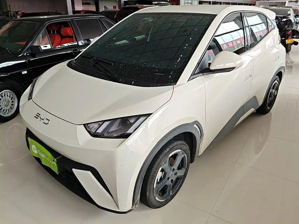 BYD Seagull 2023 Freedom Edition фото 2