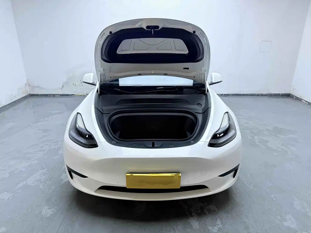 Фото 20 - Tesla Model Y