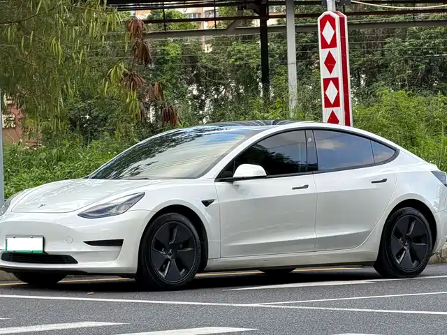 Tesla Model 3 Стандартный запас хода, задний привод, улучшенная
