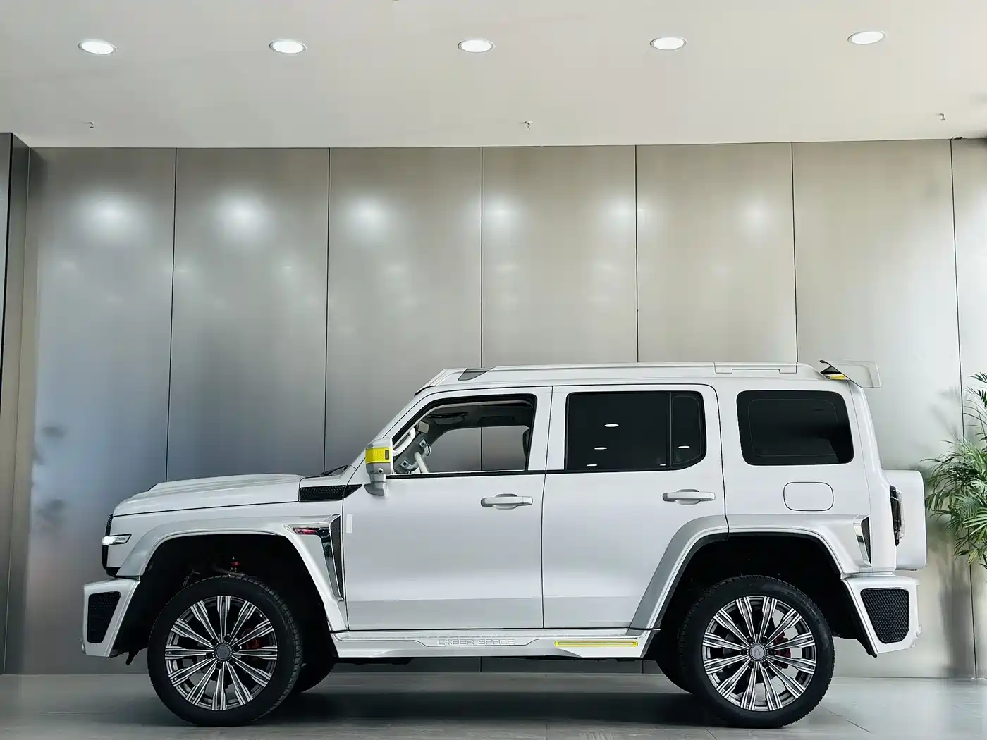 TANK CO CREATION TANK 300