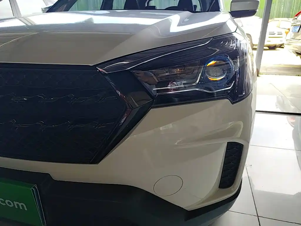 Venucia T60 2021 2020 Model 1.6L CVT Zhixing Edition China VI