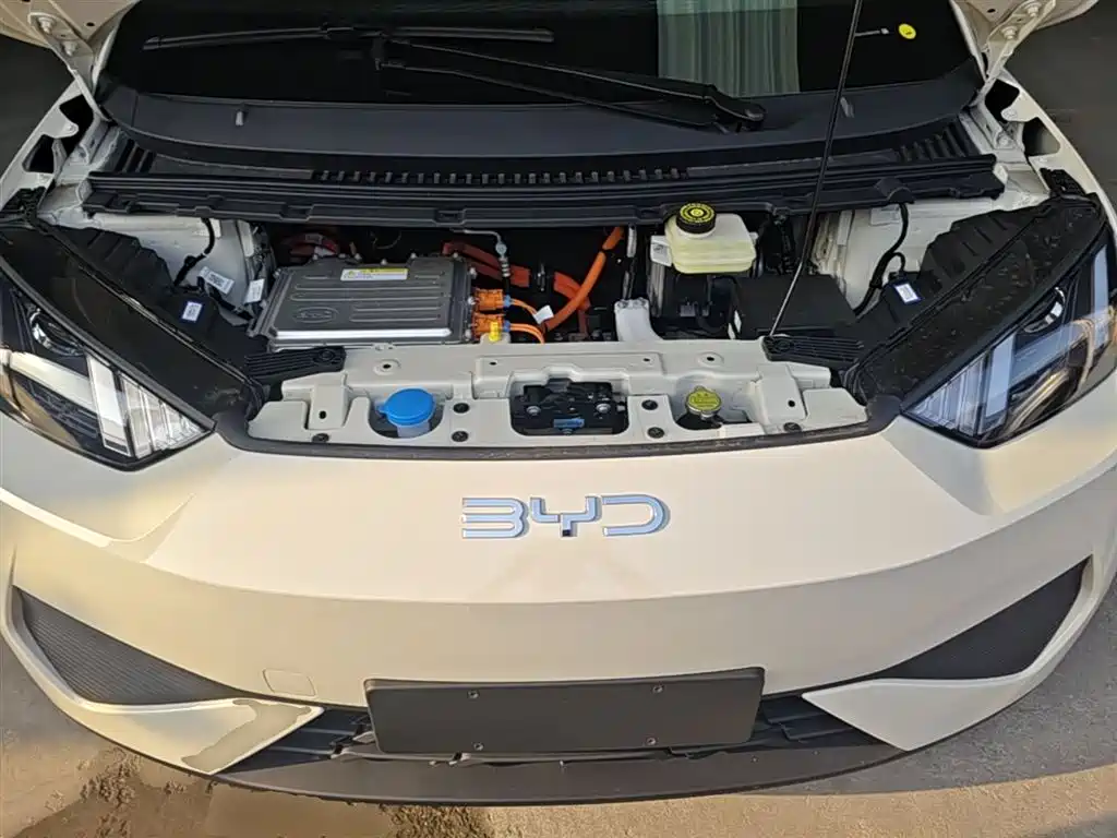 BYD Seagull 2025 Smart Drive Edition 305km Vitality Version фото 20