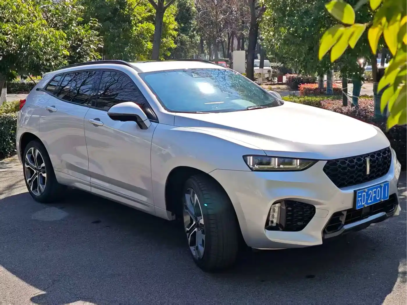 WEY VV7 2017 2017 2.0T Flagship