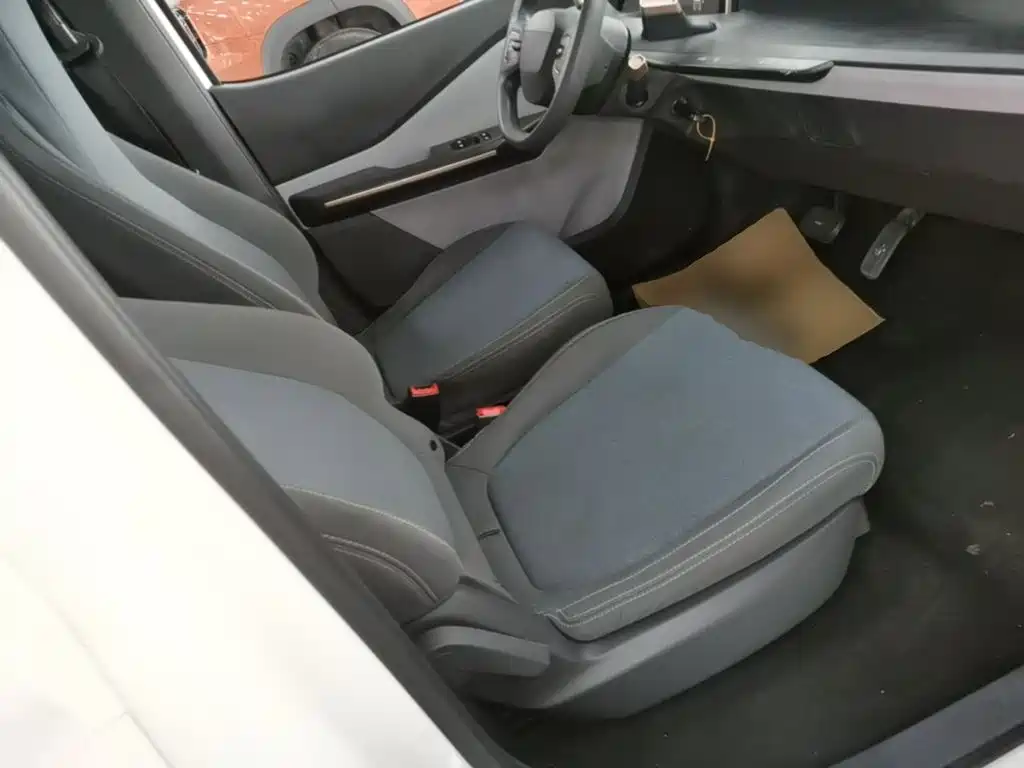 Baojun E200 2021 2020 305KM Smart Edition