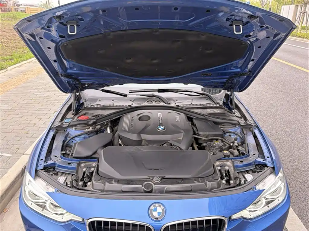 BMW 3 Series 2017 320Li M Sport фото 10