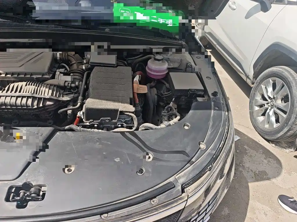 BYD Destroyer 05 2023 2023 Champion Edition DM-i 120KM Premium