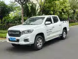 Фото 2 - Maxus Maxus T70