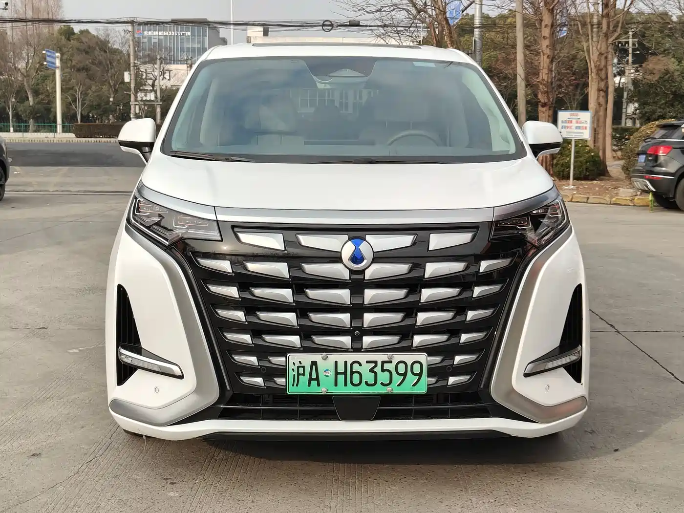 Denza D9 2022 DM-i 970 AWD Flagship фото 2