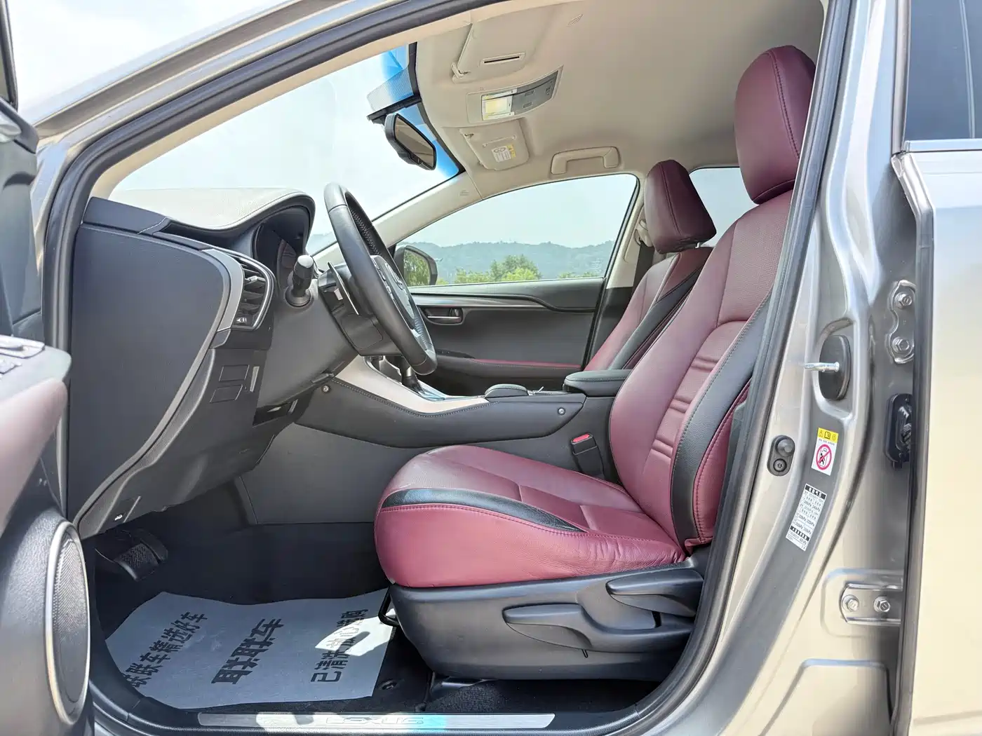 Lexus NX 2018 Model 200 FWD Fengxing Edition China V фото 8