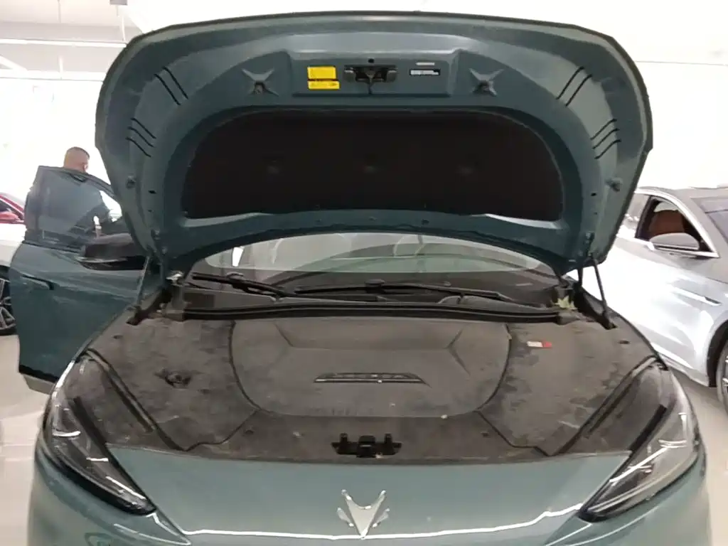 ARCFOX Alpha S 2024 2023 650E Forest Edition PRO 175kw