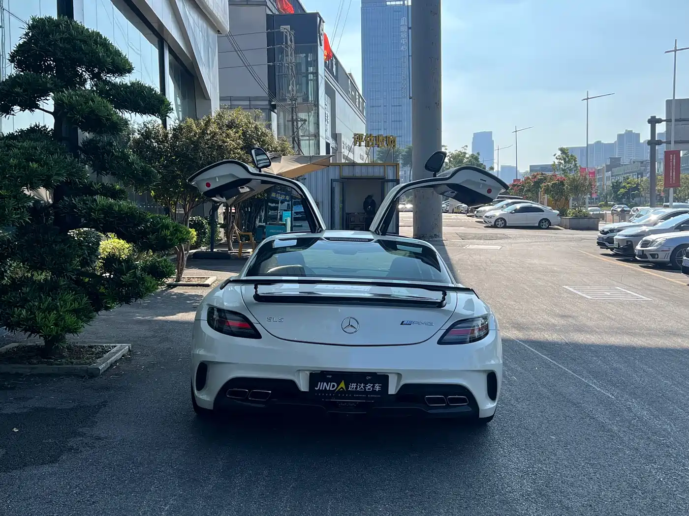 Mercedes-Benz SLS AMG 2014 Model SLS AMG Black Series фото 8