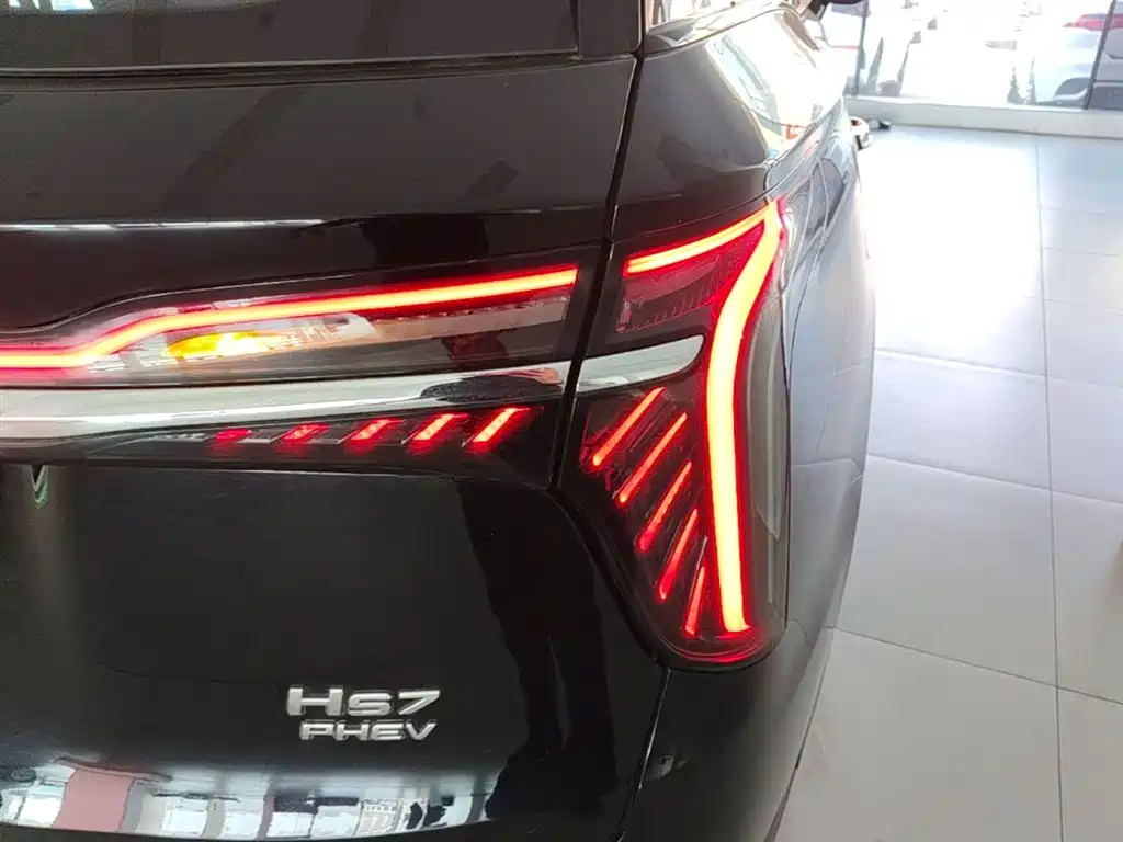 Hongqi HS7 PHEV 2024 2.0T PHEV 4WD Flagship Edition 6-seater фото 8