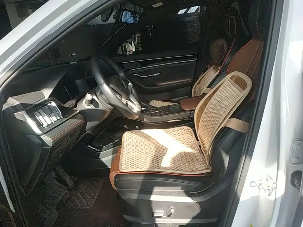 BYD Song PLUS 2021 2020 1.5T Automatic Luxury