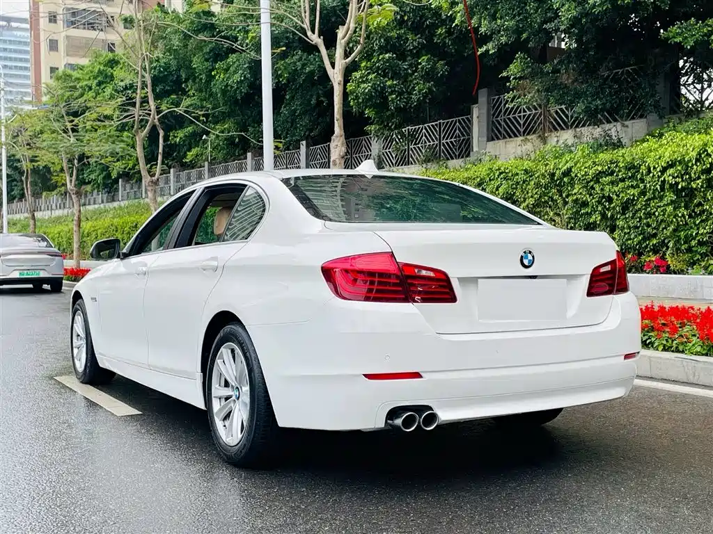 BMW 5 Series 2014 520Li Elegance фото 6