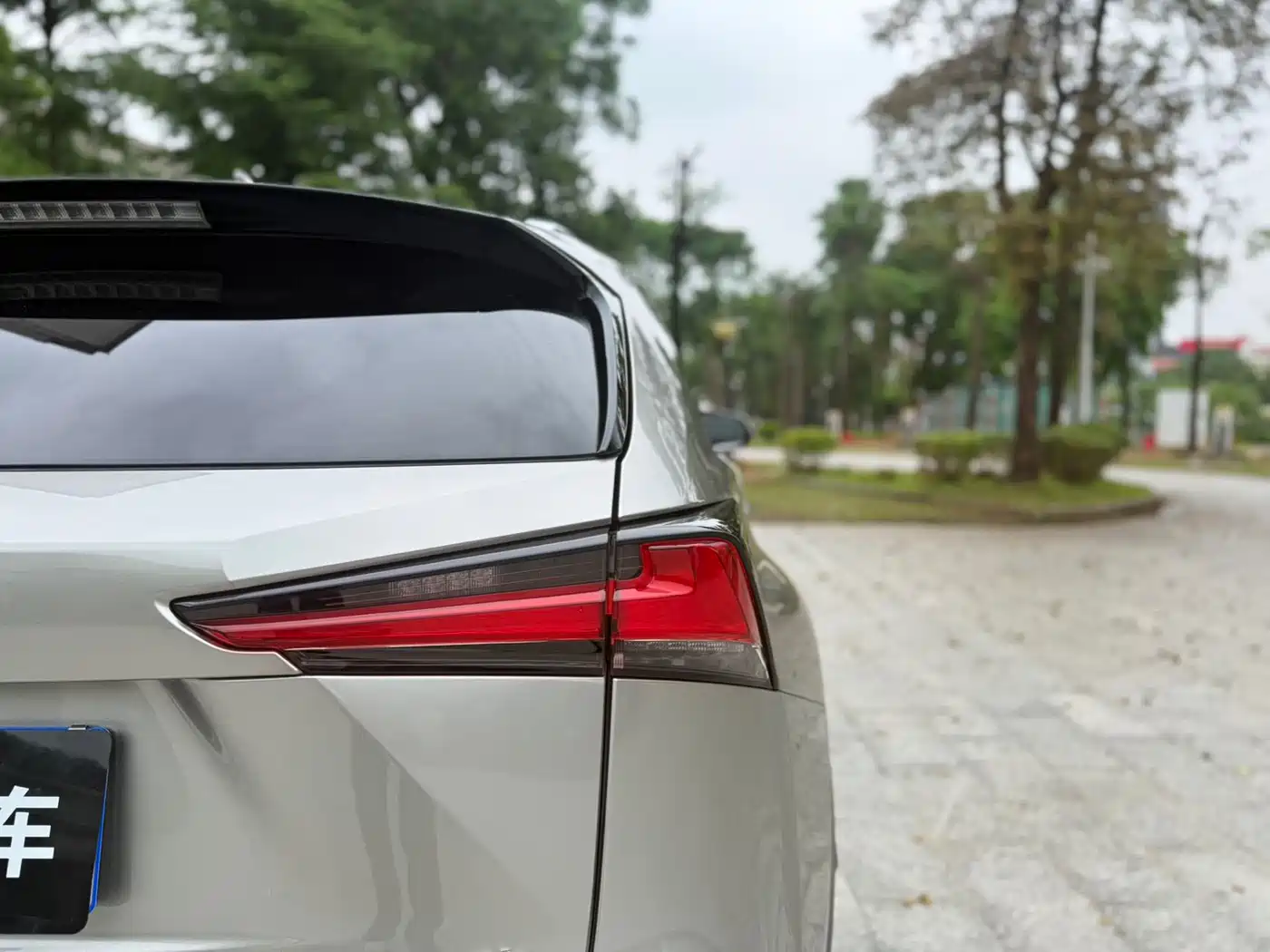 Lexus NX 2018 Model 300h FWD Fengshang Edition China V фото 16