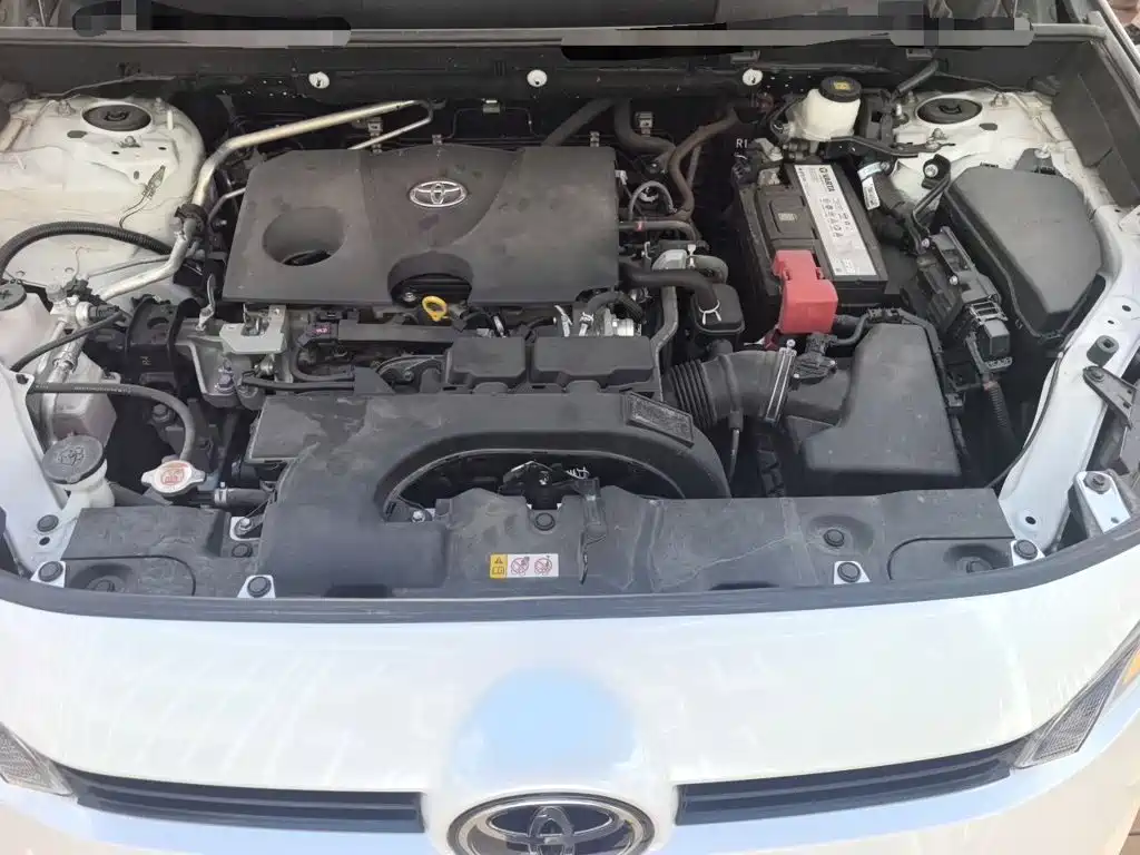 Toyota Wildlander 2021 2021 2.0L CVT 2WD Luxury Edition