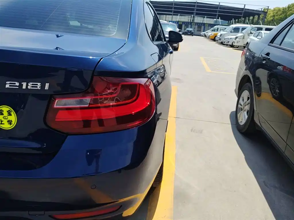 BMW 2 Series (Import) 2015 218i фото 8