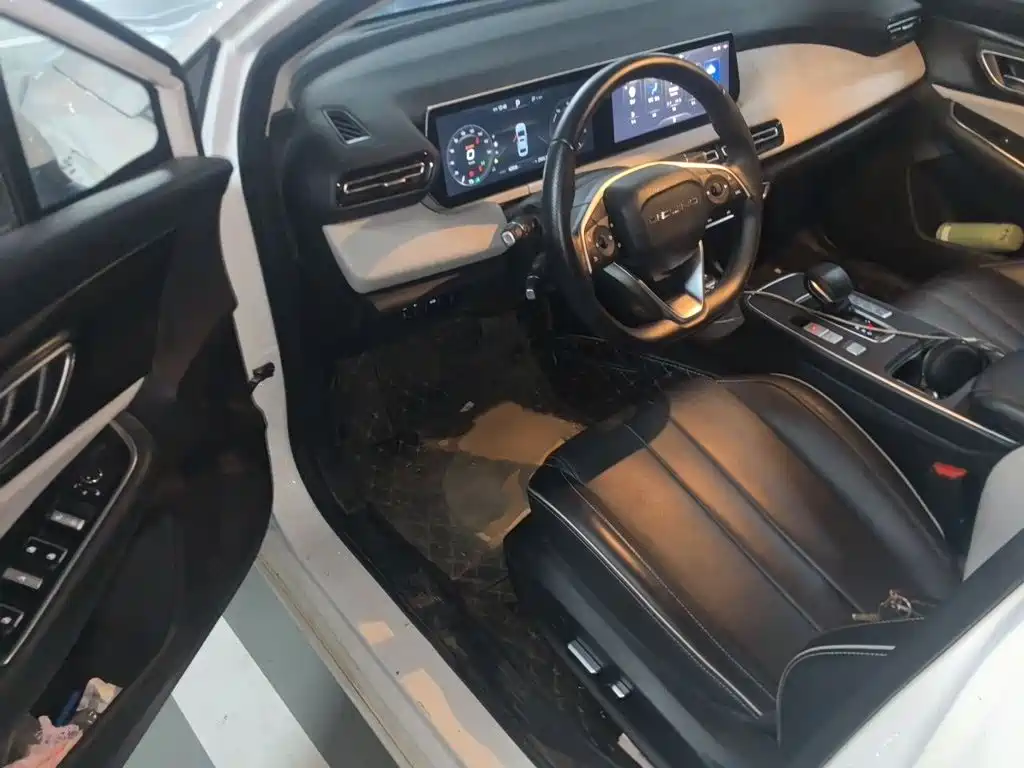 BAIC Beijing EU5 PLUS 2024 2023 R500 Premium Travel Edition