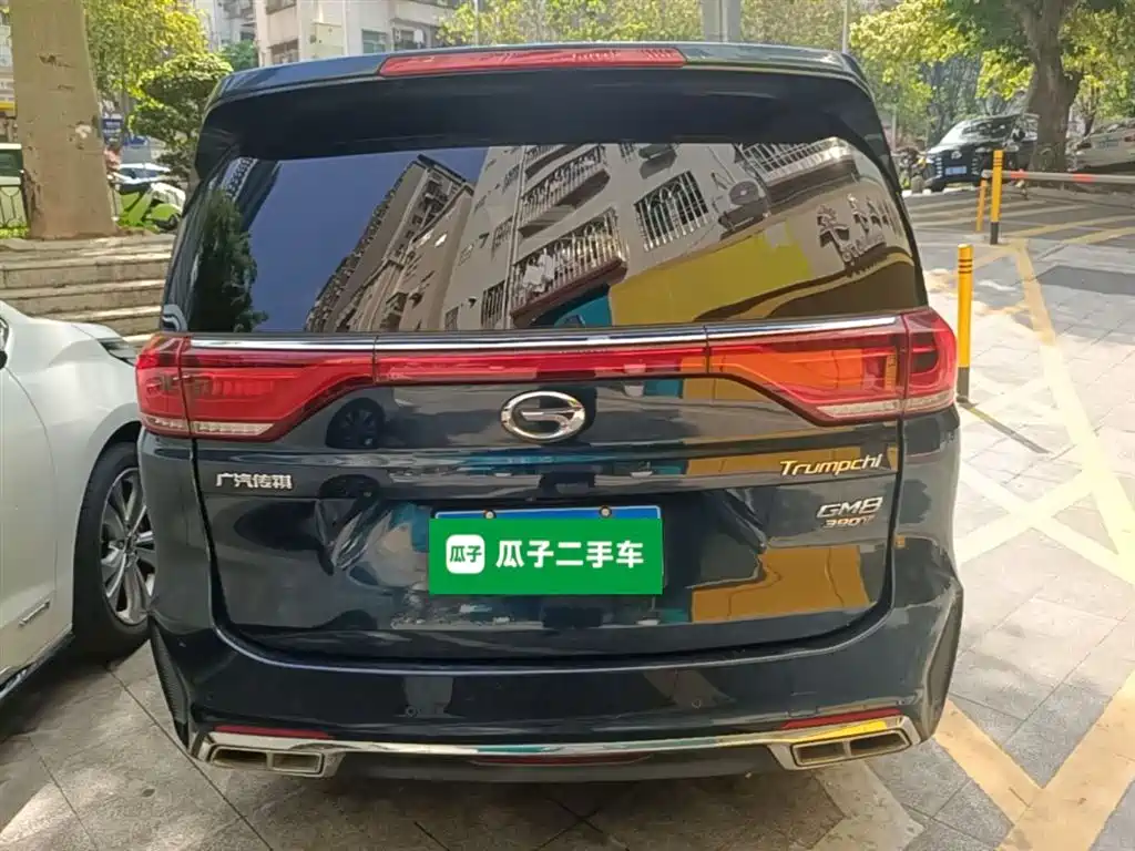 GAC Trumpchi Trumpchi M8 2020 Pilot 390T Prestige Edition фото 6