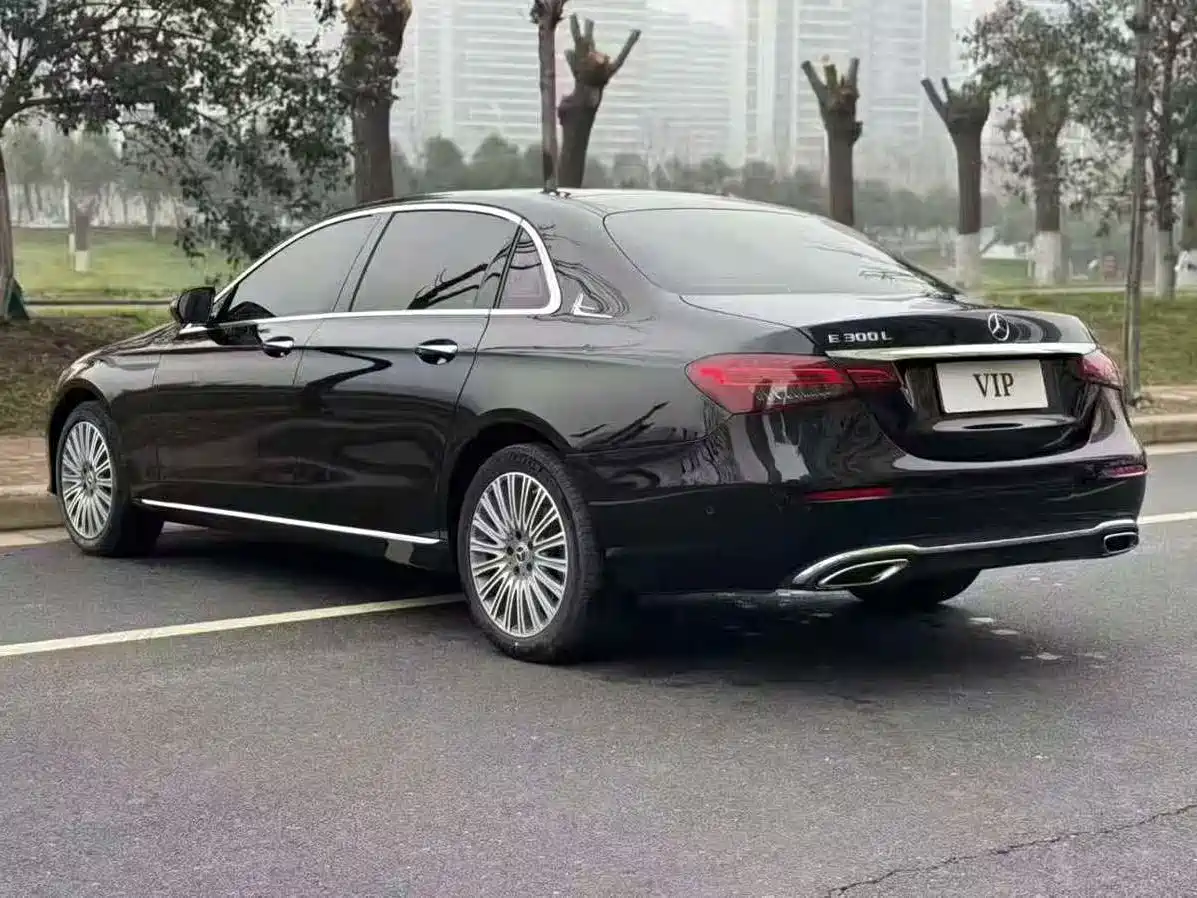 Mercedes-Benz E-Class 2023 Facelift E 300 L Luxury фото 5