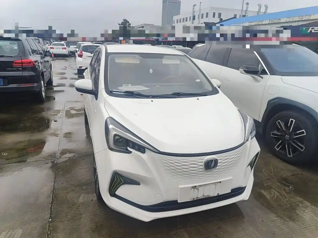 Фото 3 - Changan Benben E-Star