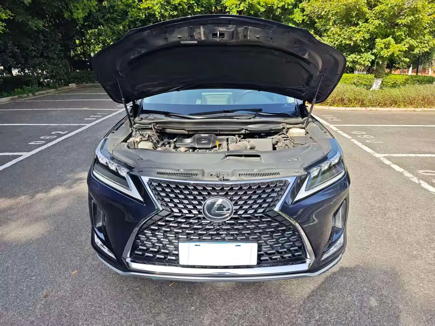 LEXUS RX