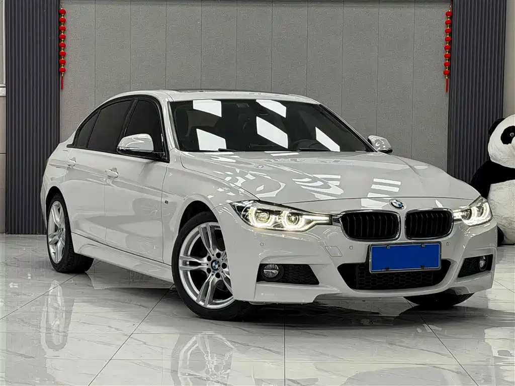 BMW 3 Series 2019 320Li M Sport Package фото 3