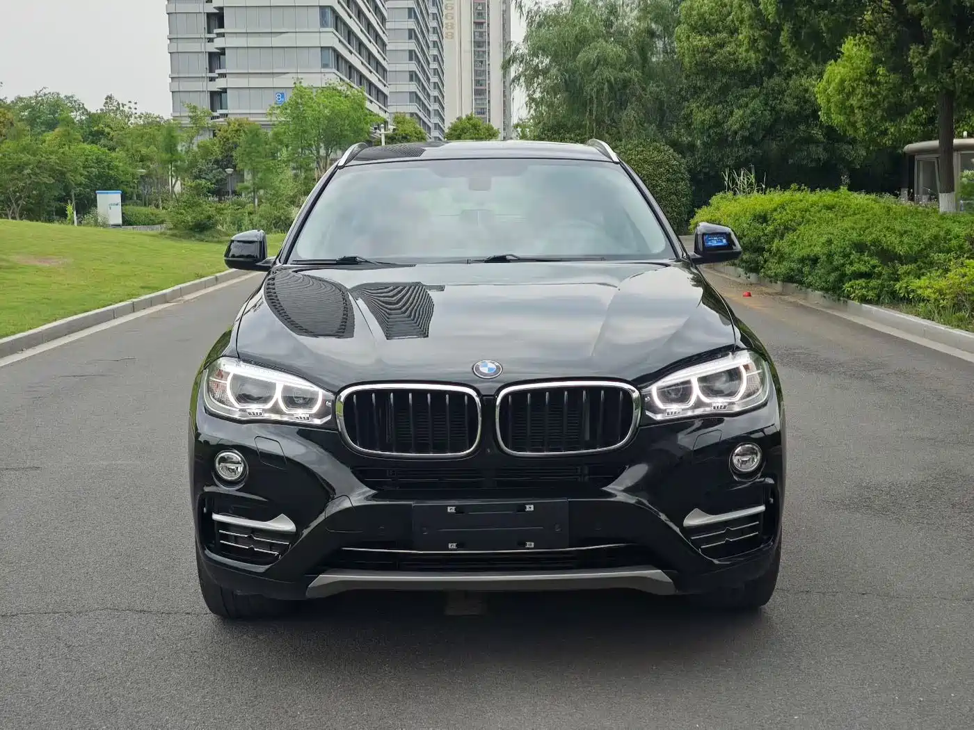 BMW X6 2018 xDrive35i Leading Model фото 2