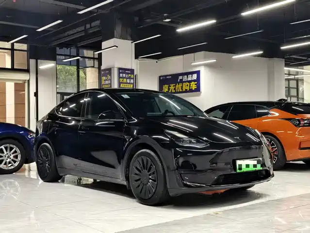 Tesla Model Y 2023 Rear-Wheel Drive Edition — фото 3