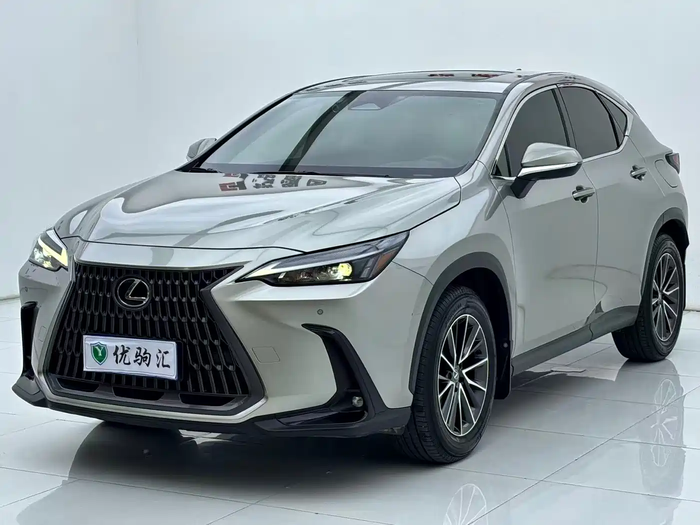 Lexus NX 2024 2023 260 FWD Joy Creation Edition