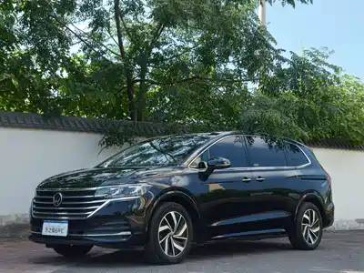 Volkswagen Viloran