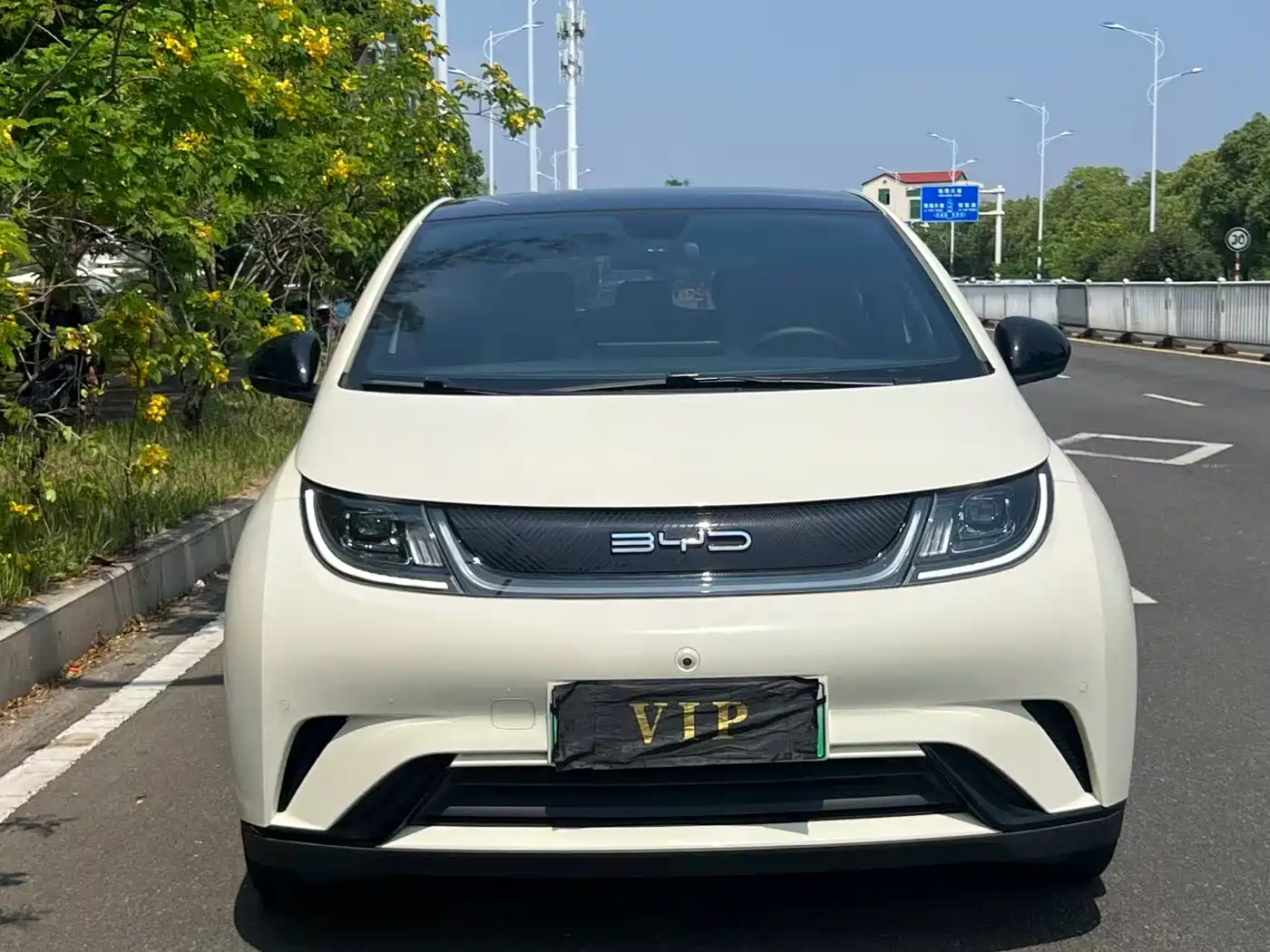 BYD Dolphin 2023 420km Fashion Edition фото 2