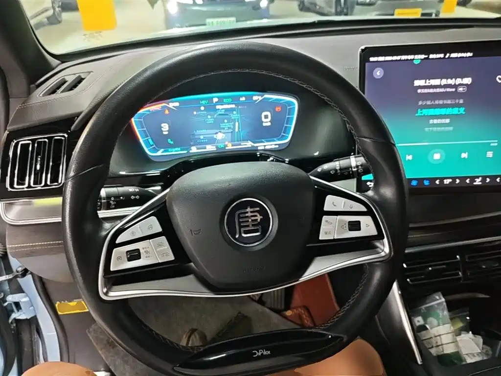 BYD Tang New Energy 2023 Model DM-i Champion Edition 112KM Honor фото 11