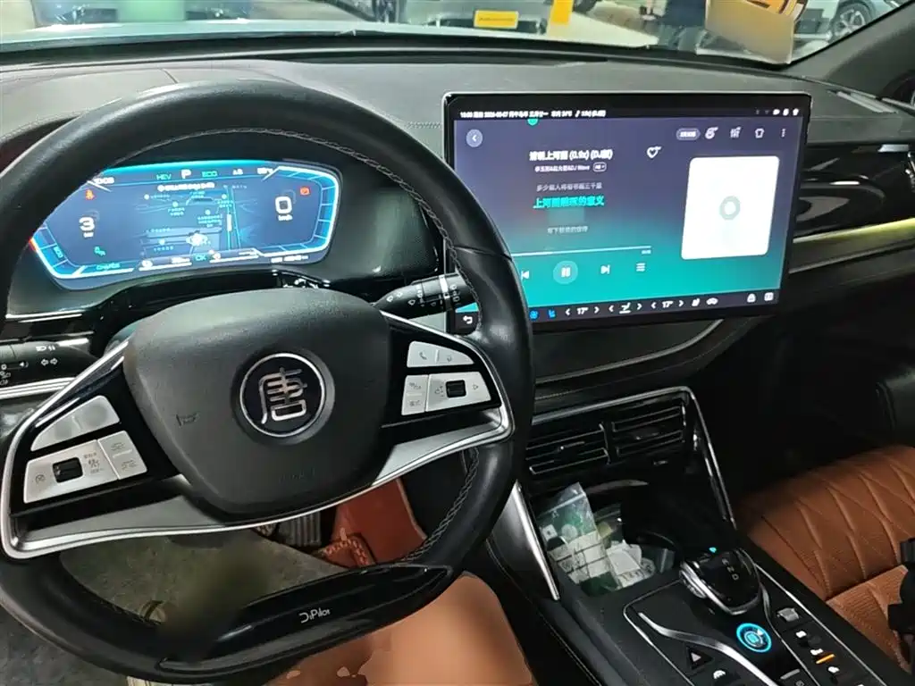 BYD Tang New Energy 2023 Model DM-i Champion Edition 112KM Honor фото 10