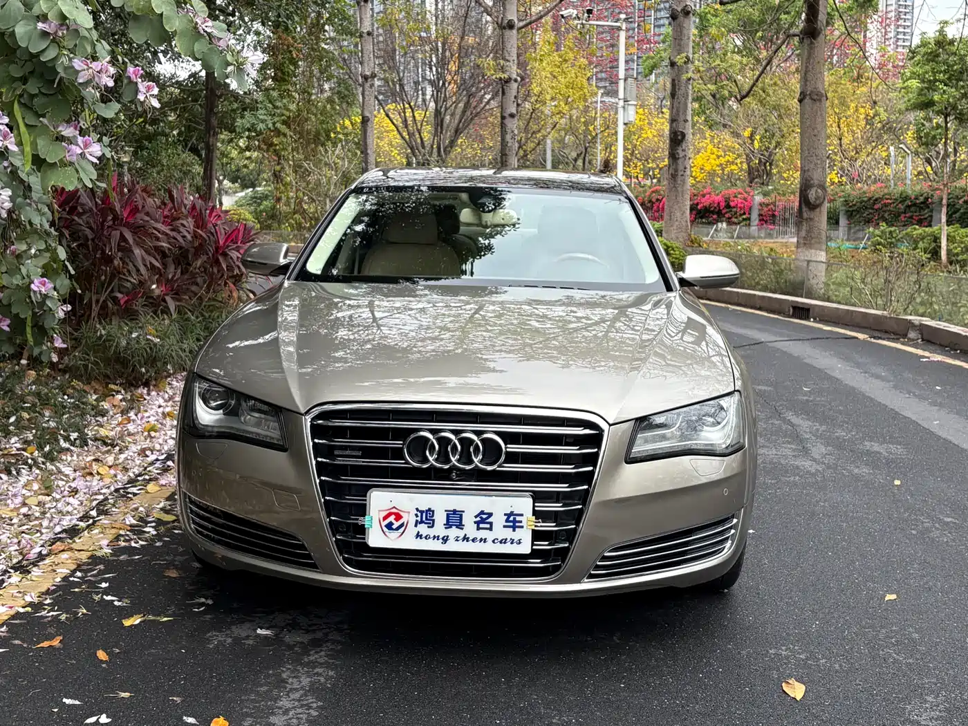 Audi A8 2012 A8L 50 TFSI quattro Luxury фото 2