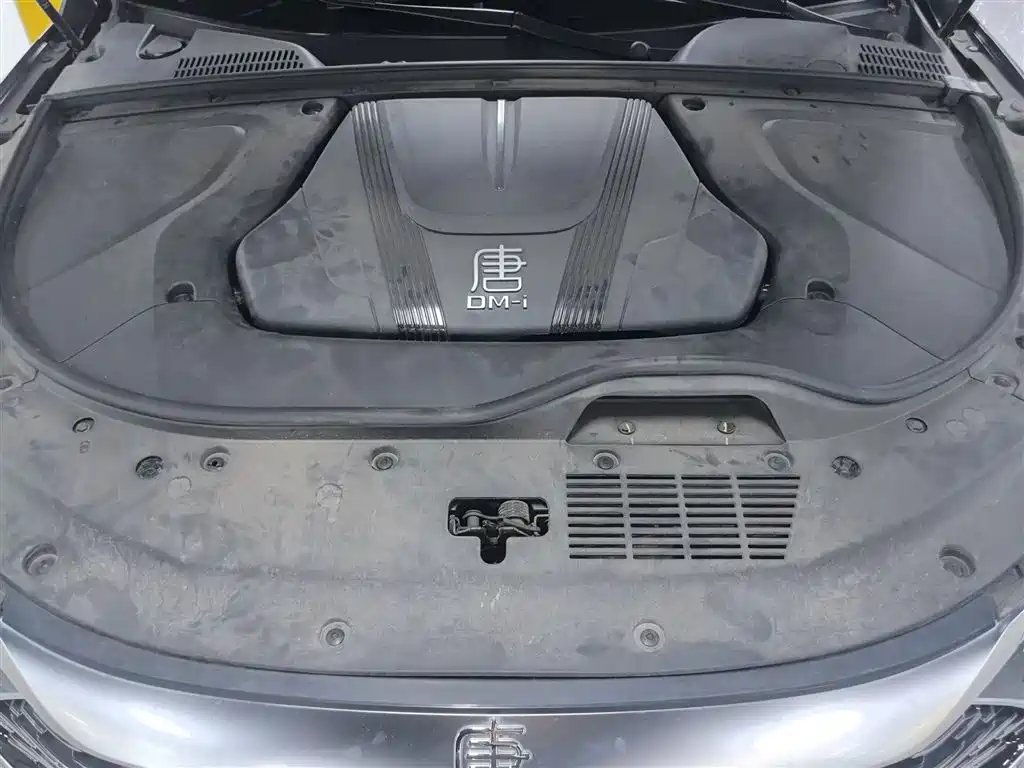 BYD Tang New Energy 2025 Smart Driving Edition DM-i 115KM Flagship фото 16