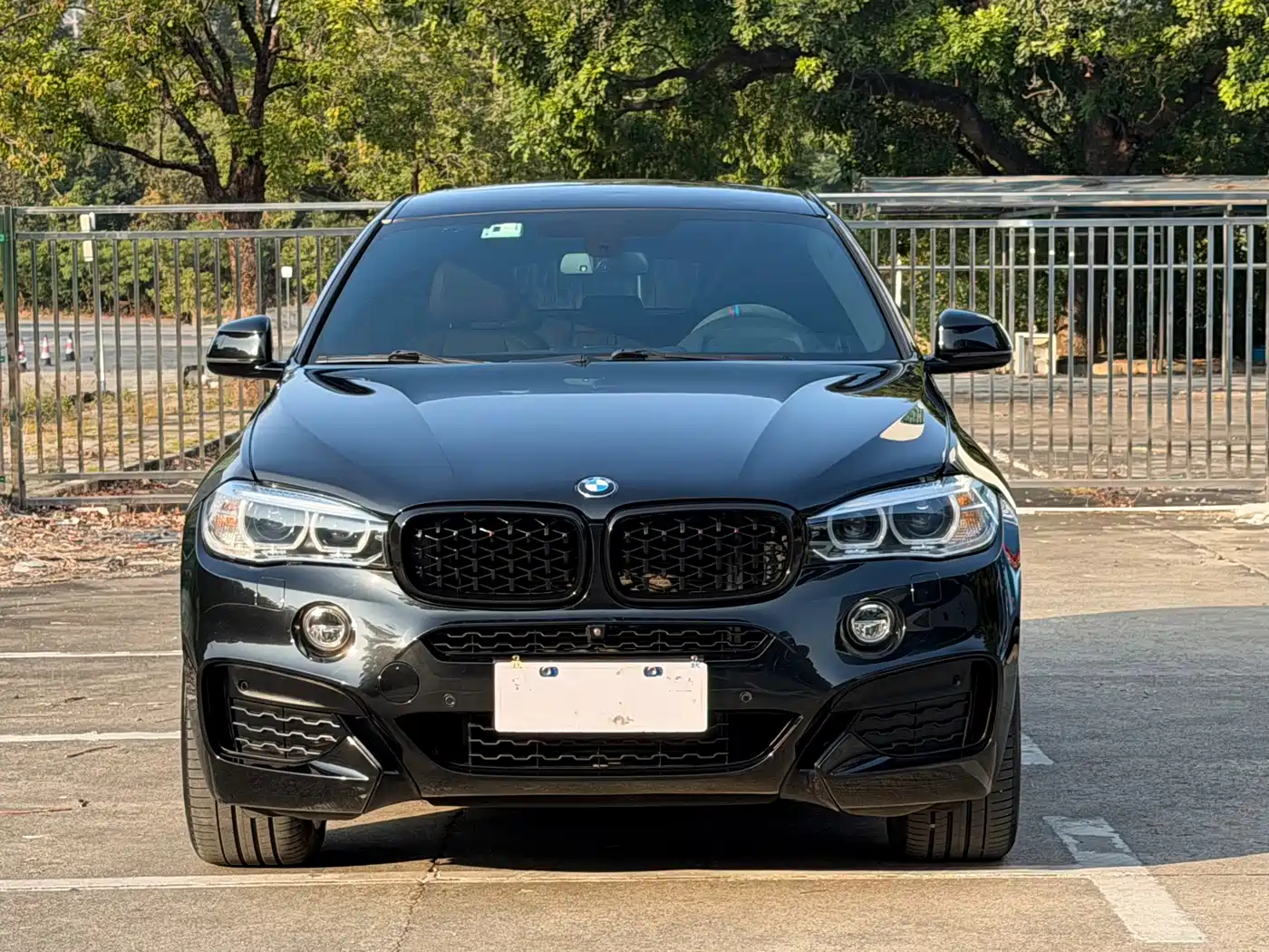 BMW X6 2019 xDrive35i M Sport Package фото 2