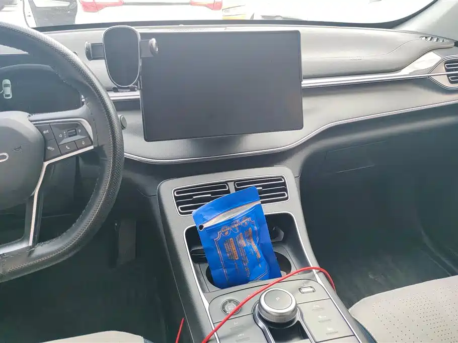BYD Destroyer 05 2024 Glory Edition DM-i 55KM Luxury фото 13
