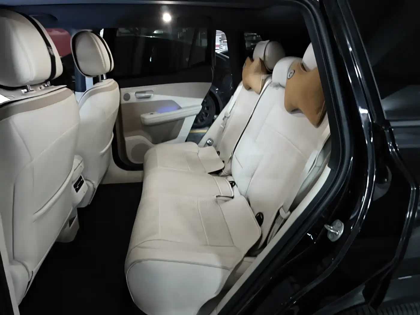 Фото 6 - Toyota BoZhi 3X