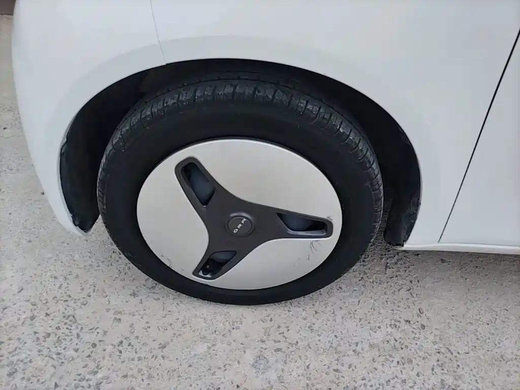 Ora White Cat 2020 2020 360km Luxury Model