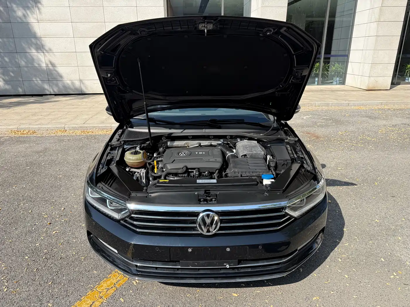 صورة 15 - Volkswagen Magotan