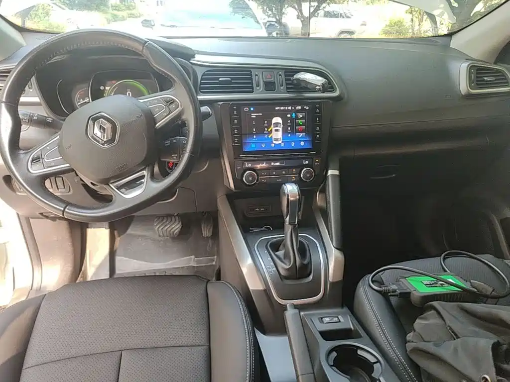 Renault Kadjar 2016 2016 2.0L 2WD Leading