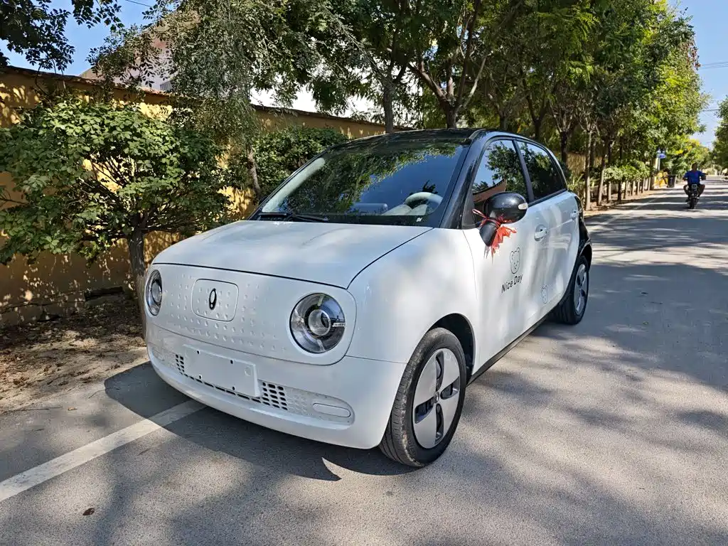 Ora Black Cat 2022 2022 Facelift 301km Pet Edition LFP Version