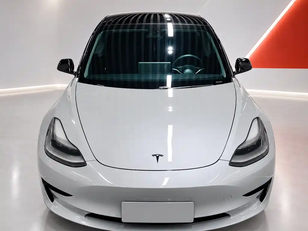 Tesla Model 3 2020 2020 Standard Range Rear-Wheel Drive Upgrade