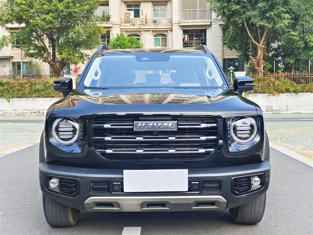 Haval Big Dog 2022 1.5T DCT FWD Border Collie Edition фото 2