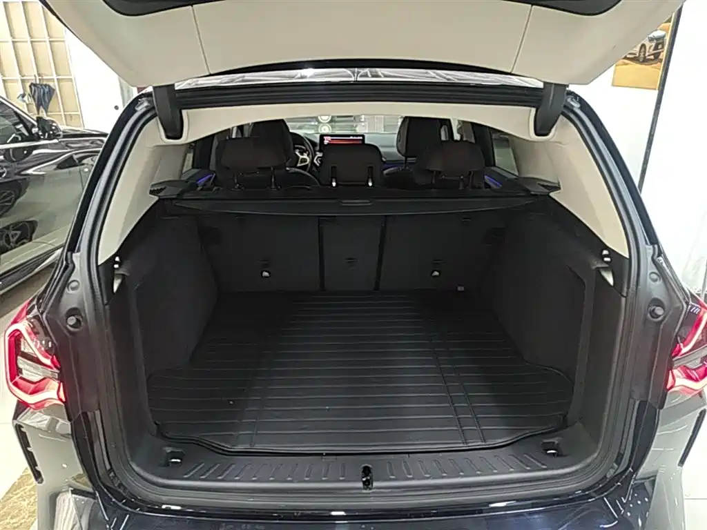 BMW X3 2022 xDrive30i Leading M Night Package фото 15