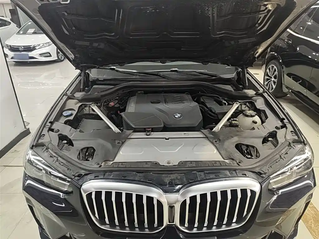 BMW X3 2022 xDrive30i Leading M Night Package фото 16