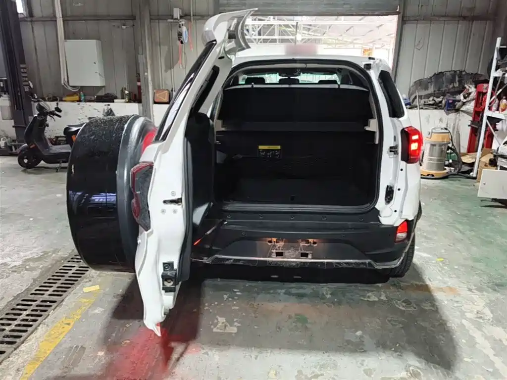 BYD Yuan New Energy 2019 EV535 Smart Connected Trend Leader Type фото 15