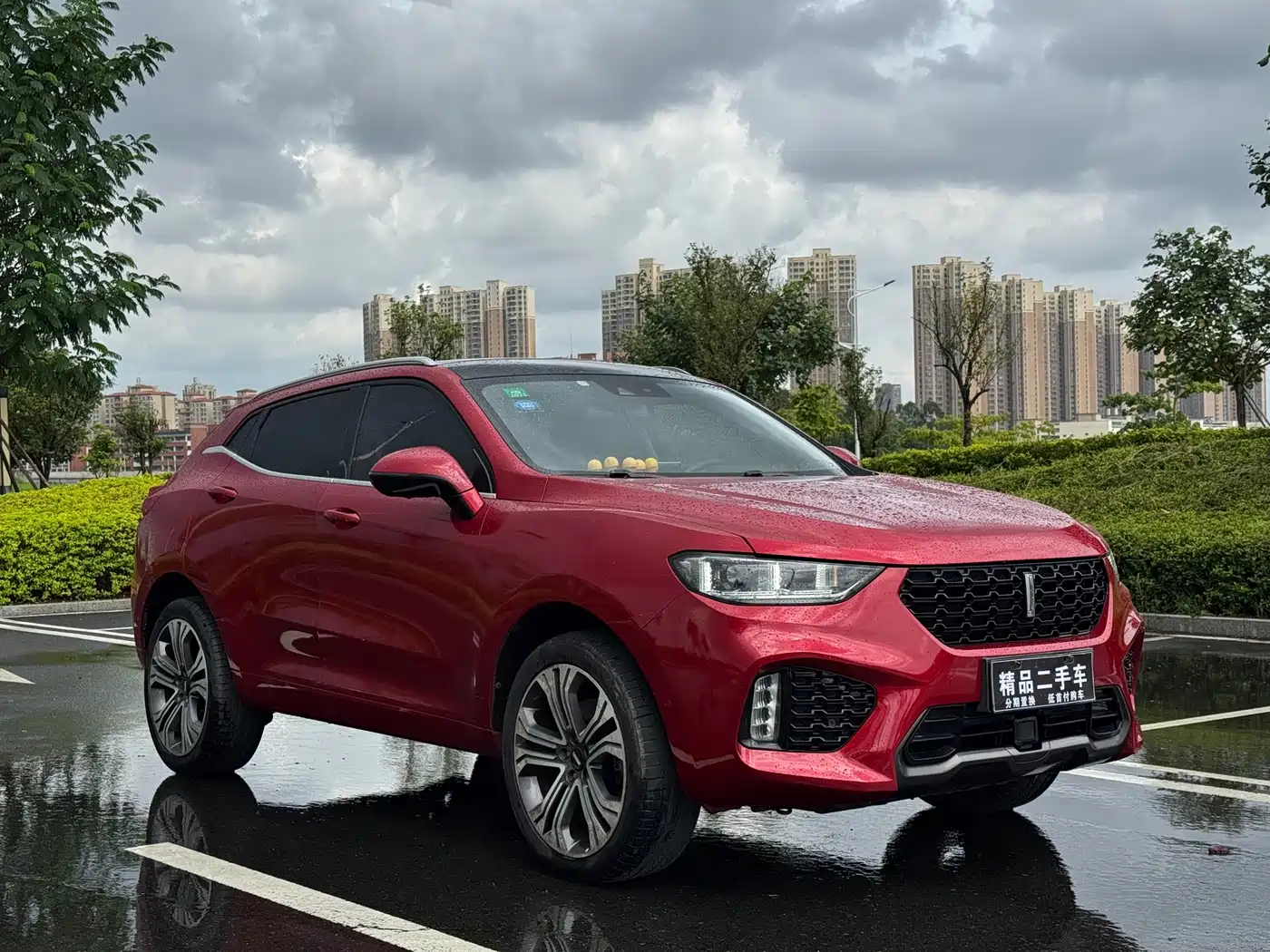 WEY VV5 2017 2017 2.0T Flagship Model